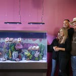 Image for the Documentary programme "Tanked"