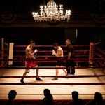 Image for the Film programme "Jungleland"