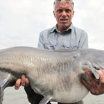 Image for the Nature programme "River Monsters"