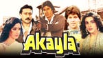 Image for the Film programme "Akayla"