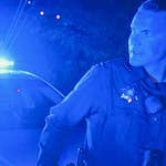 Image for Documentary programme "Cops"