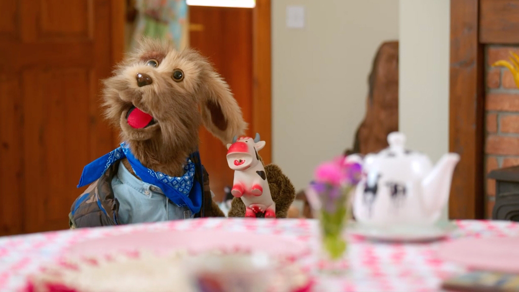 Seamus Goes Wild Season 1 Episode 8 on RTE Jr - TV Programme Poster