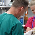 Image for Nature programme "Dr Jeff: Rocky Mountain Vet"