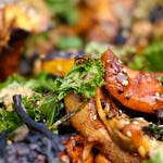 Image for episode "Chickens" from Cookery programme "Marcus Wareing's Tales from a Kitchen Garden"