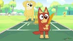 Image for episode "Cricket" from Childrens programme "Bluey"