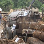 Image for the Documentary programme "Swamp Loggers"