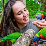 Image for Nature programme "Animal Park"