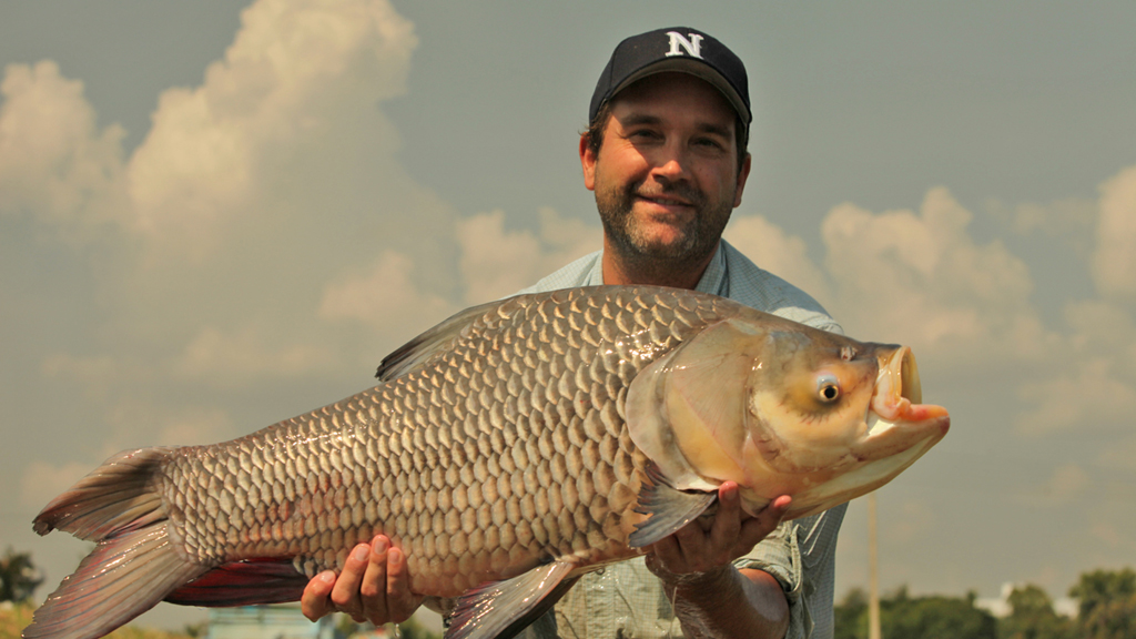 Monster Fish - National Geographic WILD HD