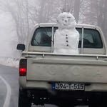 Image for the Documentary programme "Caught on Dashcam Christmas Specials"