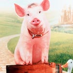 Image for the Film programme "Babe 2: Pig in the City"