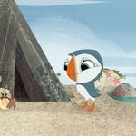 Image for the Animation programme "Puffin Rock"