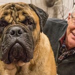 Image for the Entertainment programme "Paul O'Grady: For the Love of Dogs"