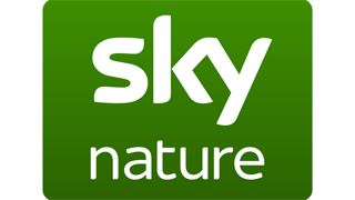 Sky Nature Sky Nature