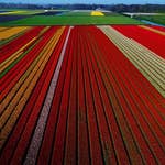 Image for Documentary programme "Europe from Above"