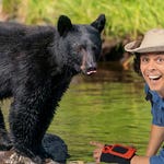 Image for the Childrens programme "Andy's Wild Adventures"