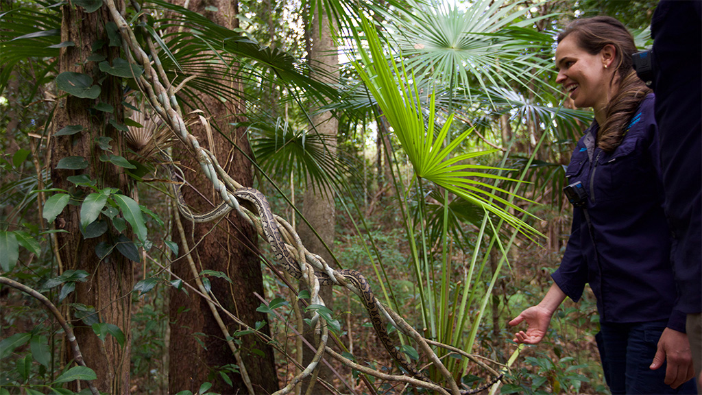 Aussie Snake Wranglers: Deadly Pursuit Season 1 Episode 6 on Sky Nature HD - TV Programme Poster