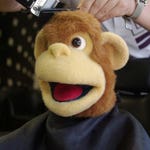 Image for the Childrens programme "Milkshake Monkey"