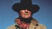 Image for Rooster Cogburn