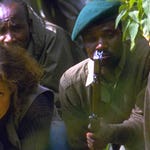 Image for the Film programme "Gorillas in the Mist"