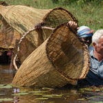 Image for episode "Phantom Assassin" from Nature programme "River Monsters"