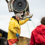 Image for episode "Rip Tide" from Documentary programme "Deadliest Catch"