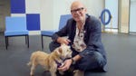 Image for the Entertainment programme "Paul O'Grady: For the Love of Dogs"