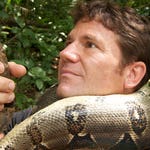 Image for the Nature programme "Deadly 60"