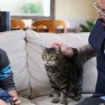 Image for Nature programme "My Cat From Hell"