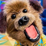 Image for episode "Access All Areas: Meet Hacker T Dog" from Childrens programme "Blue Peter"