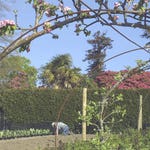 Image for the Nature programme "Natural World"
