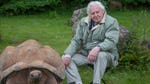 Image for episode "Incredible Shells" from Nature programme "David Attenborough's Natural Curiosities"