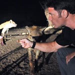 Image for Nature programme "Deadly 60"