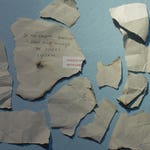 Image for the Documentary programme "Robbie Coltrane's Critical Evidence"