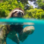 Image for the Nature programme "Planet Earth II"