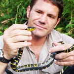 Image for the Nature programme "Deadly 60"