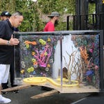 Image for the Documentary programme "Tanked"