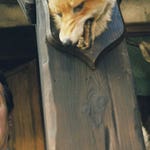 Image for the Sitcom programme "The Green Green Grass"