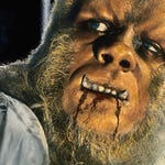 Image for the Film programme "The Curse of the Werewolf"