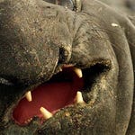 Image for episode "Beach Brawl" from Nature programme "Animal Fight Club"