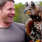 Image for episode "South Africa 2" from Nature programme "Deadly 60"