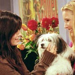 Image for the Sitcom programme "Friends"