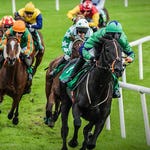 Image for the Sport programme "Live Racing"