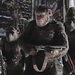 Image for the Film programme "War for the Planet of the Apes"