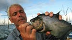 Image for the Nature programme "River Monsters"