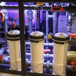 Image for Documentary programme "Tanked"