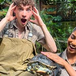 Image for Childrens programme "Blue Peter"
