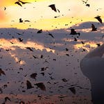 Image for the Nature programme "Deadly 60"