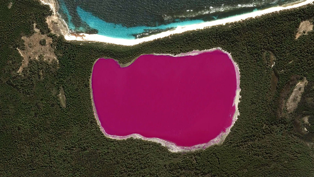 What on Earth? Season 3 Episode 1 on Sky History 2 HD - TV Programme Poster