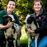 Image for the Nature programme "Mountain Vets"