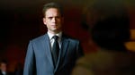Image for the Drama programme "Suits"